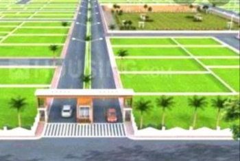  Residential Plot for Sale in Koni, Bilaspur