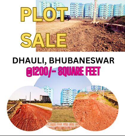  Residential Plot 1200 Sq.ft. for Sale in Dhauli, Bhubaneswar