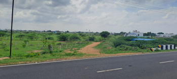  Residential Plot for Sale in Reddiarpatti, Tirunelveli