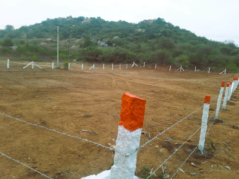  Agricultural Land 1271 Sq. Yards for Sale in Piglipur, Hyderabad