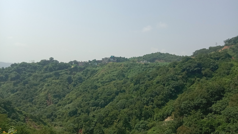  Commercial Land 60 Sq.ft. for Sale in Parwanoo, Solan