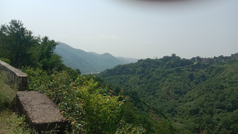  Commercial Land 60 Sq.ft. for Sale in Parwanoo, Solan