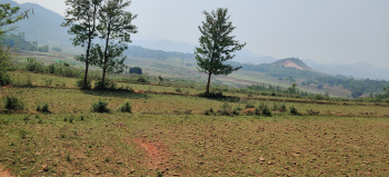  Agricultural Land for Sale in Araku Valley, Visakhapatnam