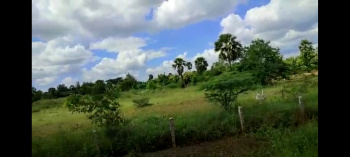  Agricultural Land for Sale in Nazerath, Thoothukudi
