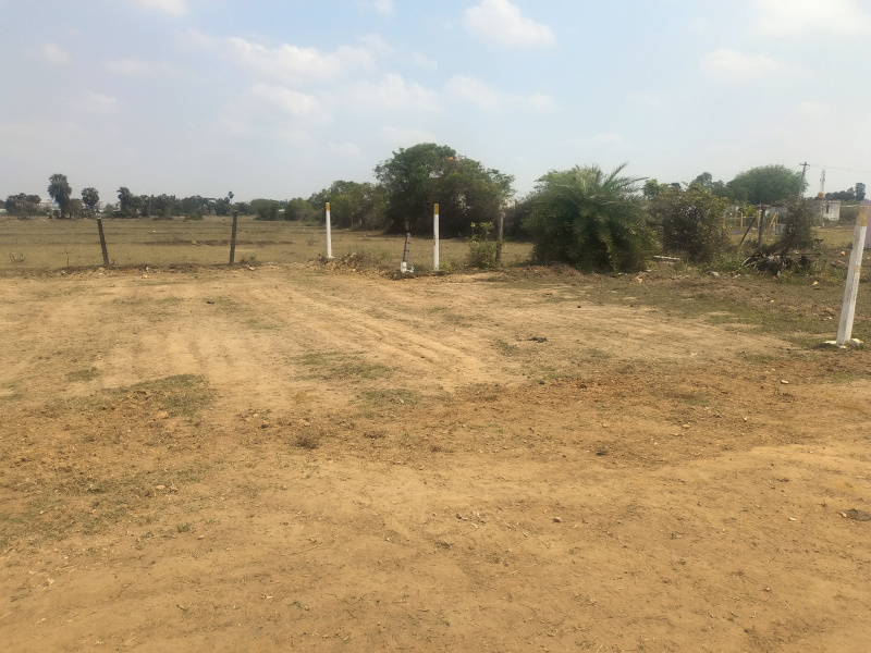  Residential Plot 1200 Sq.ft. for Sale in Avadi, Chennai