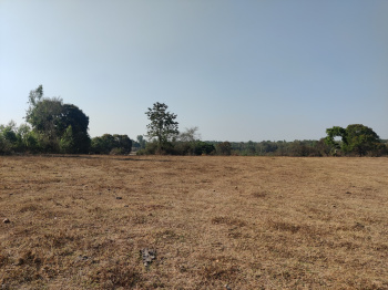  Agricultural Land for Sale in Mudigere, Chikmagalur