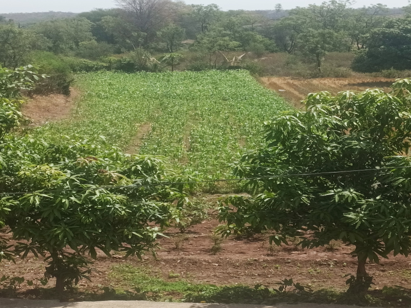Agricultural Land 10000 Sq.ft. for Rent in