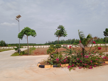  Residential Plot for Sale in Ponnampatti, Tiruchirappalli