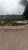 Residential Plot for Sale in Renigunta, Chittoor