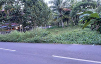  Residential Plot for Sale in Haripad, Alappuzha