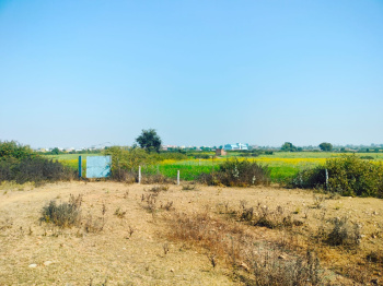  Agricultural Land for Sale in Bhander, Datia