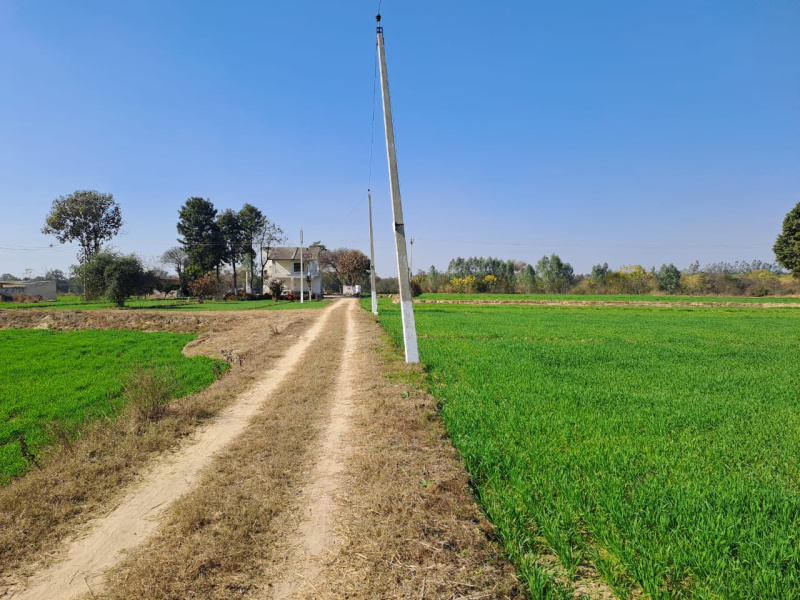  Agricultural Land 200 Acre for Sale in Gunupur, Rayagada