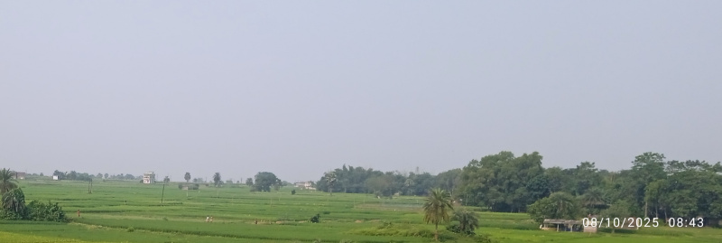  60 Bigha Residential Plot for Sale in Panchgachia, Asansol