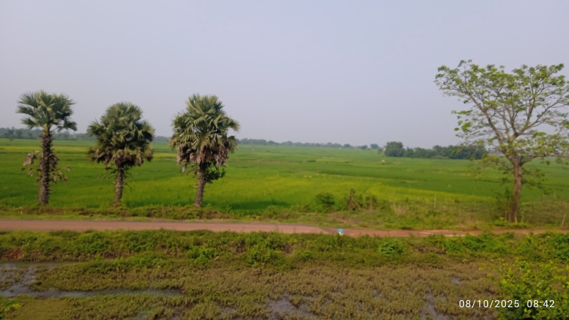  25 Katha Residential Plot for Sale in Kanyapur, Asansol