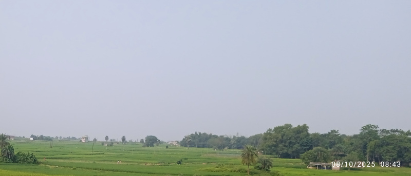  25 Katha Residential Plot for Sale in Kanyapur, Asansol