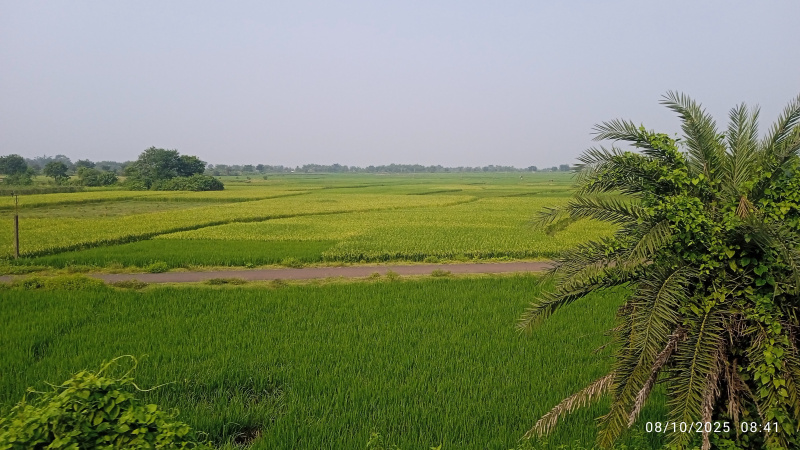  25 Katha Residential Plot for Sale in Kanyapur, Asansol