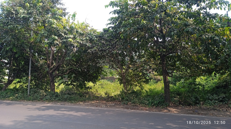  80 Katha Residential Plot for Sale in Kanyapur, Asansol