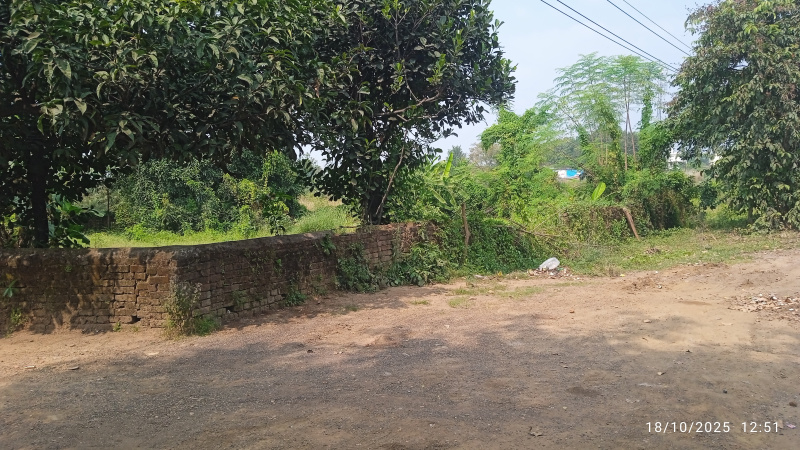  80 Katha Residential Plot for Sale in Kanyapur, Asansol