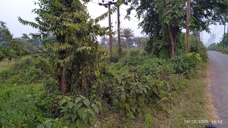  80 Katha Residential Plot for Sale in Kanyapur, Asansol
