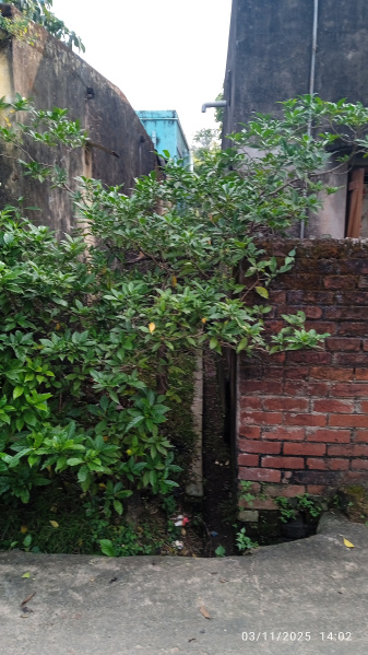  1440 Sq.ft. Residential Plot for Sale in Dildar Nagar, Asansol