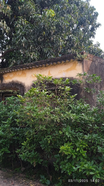  1440 Sq.ft. Residential Plot for Sale in Dildar Nagar, Asansol