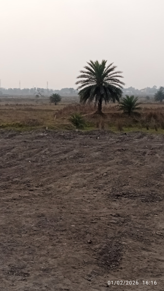  3 Katha Residential Plot for Sale in Morichkotha, Asansol