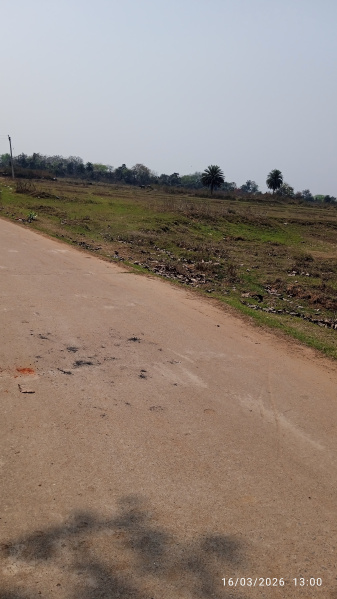  15 Bigha Commercial Land for Sale in Salanpur, Asansol