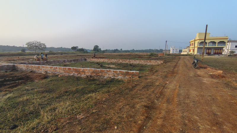  1200 Sq.ft. Residential Plot for Sale in Trisulia, Cuttack