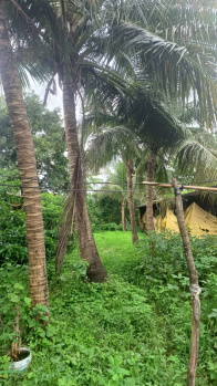  Agricultural Land for Sale in Palghar East