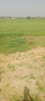  Agricultural Land for Sale in Khurja, Bulandshahr