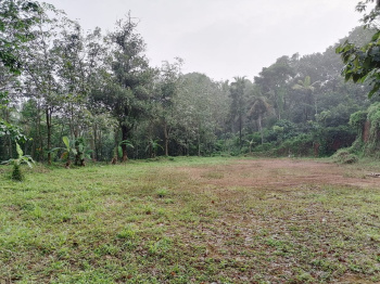  Agricultural Land for Sale in Poomala, Thrissur