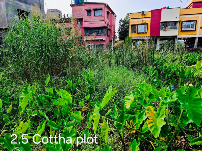  Residential Plot 3 Katha for Sale in Tollygunge, Kolkata