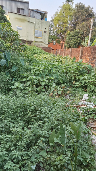  Residential Plot 3 Katha for Sale in Boral Main Road, Kolkata