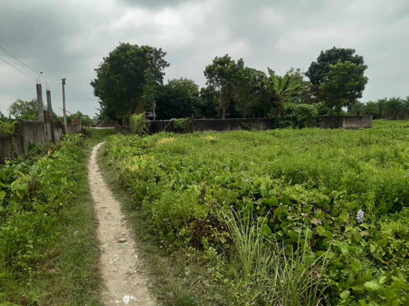  20 Katha Residential Plot for Sale in Rajpur Sonarpur, South 24 Parganas