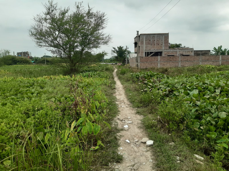  20 Katha Residential Plot for Sale in Rajpur Sonarpur, South 24 Parganas