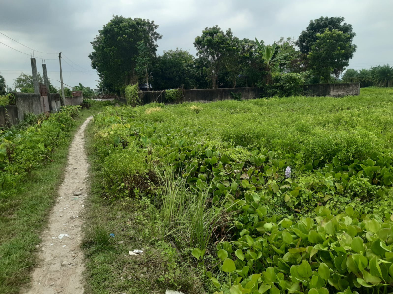  20 Katha Residential Plot for Sale in Rajpur Sonarpur, South 24 Parganas