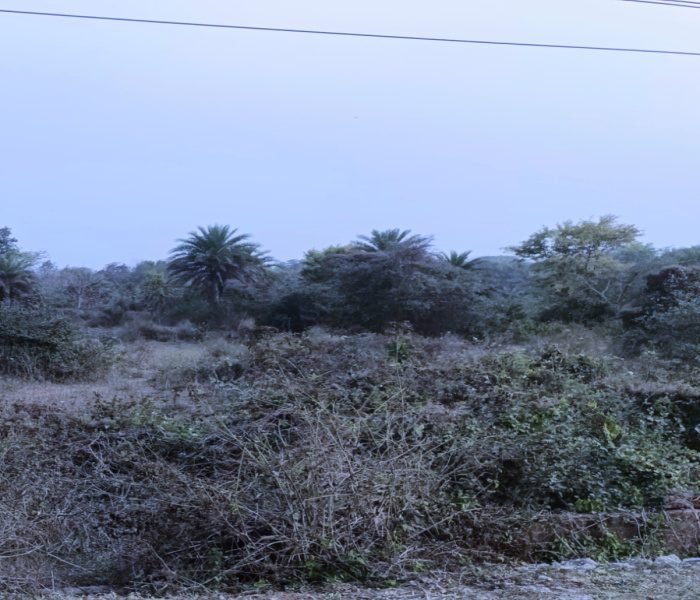  3 Katha Residential Plot for Sale in Kanyapur, Asansol