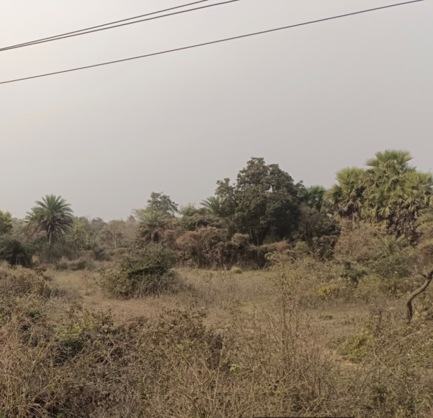  3 Katha Residential Plot for Sale in Kanyapur, Asansol