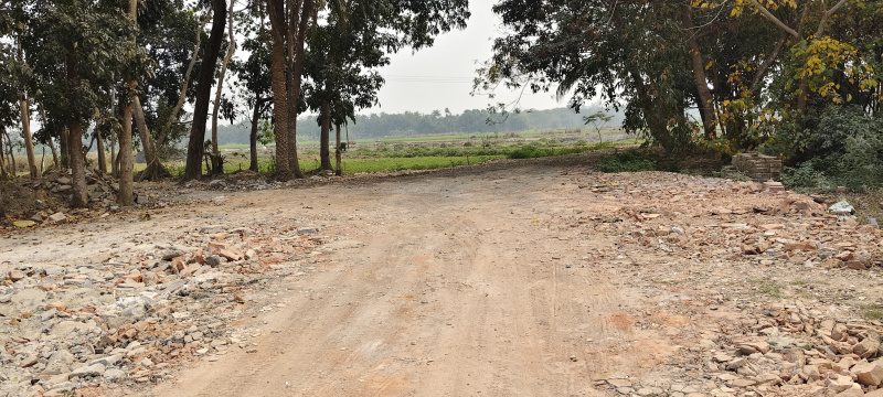 5 Katha Residential Plot for Sale in Amtala, Kolkata