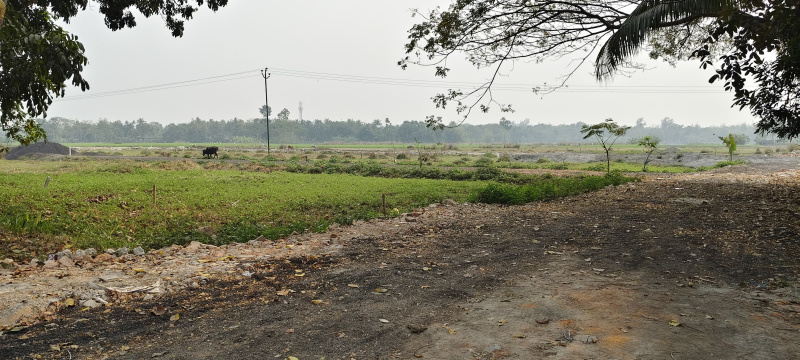  5 Katha Residential Plot for Sale in Amtala, Kolkata