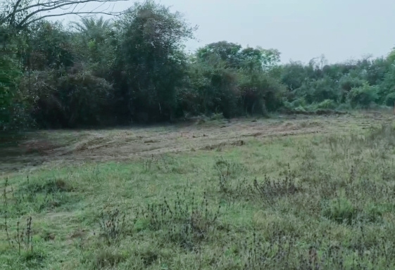  10 Katha Residential Plot for Sale in Kanyapur, Asansol