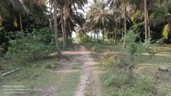  Agricultural Land for Sale in Madhurandagam, Chennai