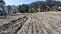  Residential Plot for Sale in Nathuwala, Dehradun