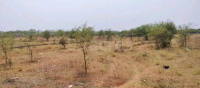  Residential Plot for Sale in VIP Road, Raipur