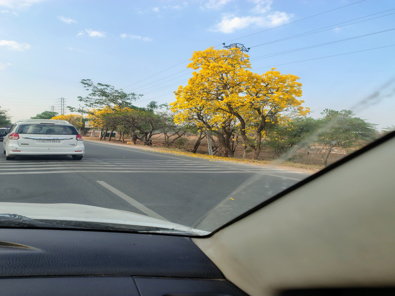  Commercial Land 444 Sq. Yards for Sale in Amangal, Rangareddy