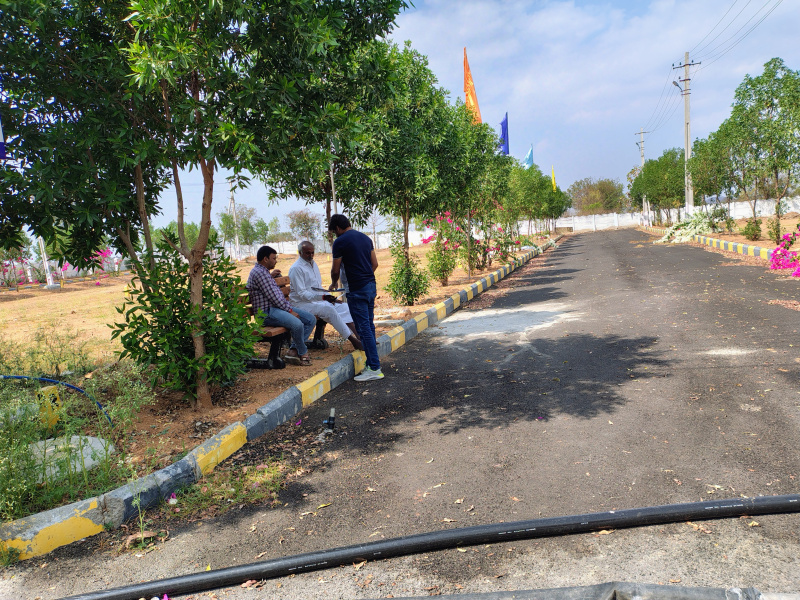  Commercial Land 444 Sq. Yards for Sale in Amangal, Rangareddy