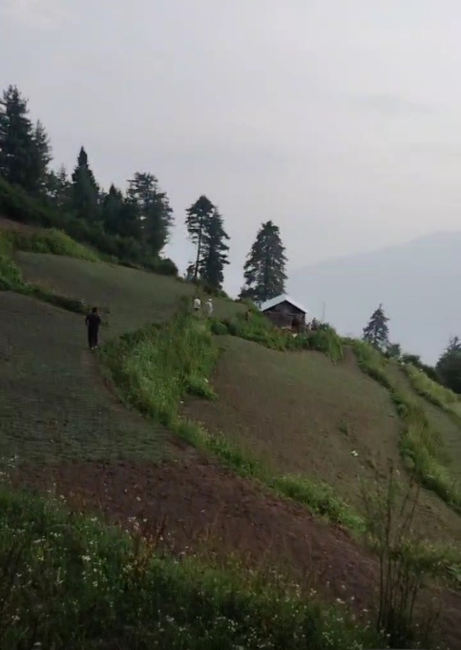  Commercial Land 70 Bigha for Sale in Dhalpur, Kullu