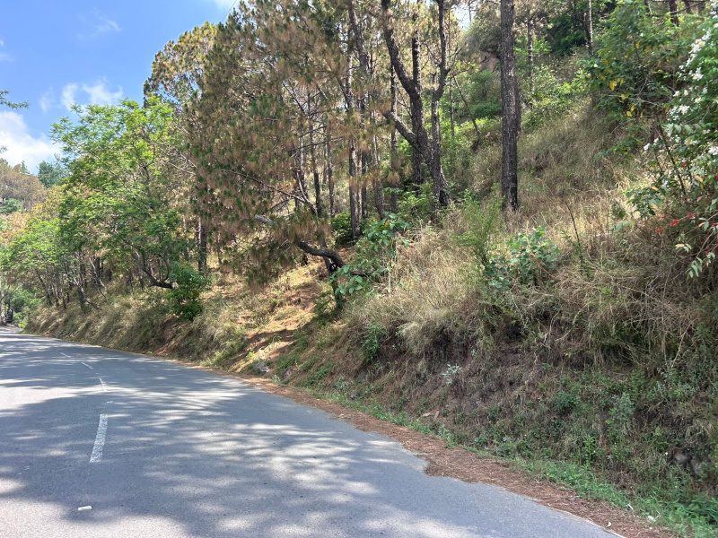  210 Biswa Commercial Land for Sale in Barog, Solan