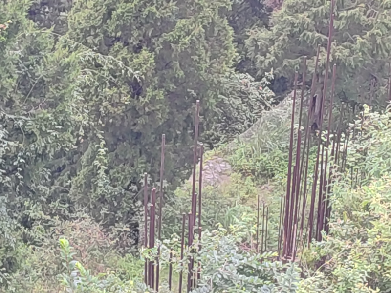  Hotels 14000 Sq.ft. for Sale in Chotta Shimla