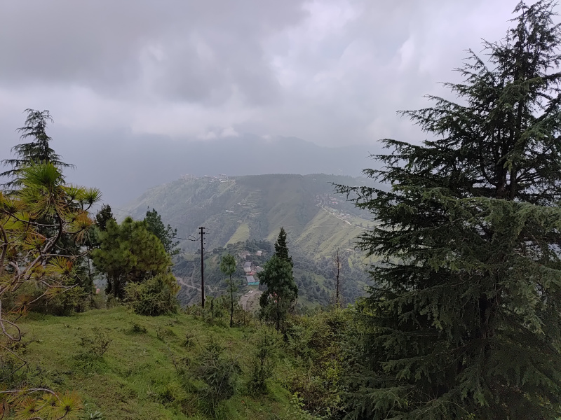  Hotels 14000 Sq.ft. for Sale in Chotta Shimla